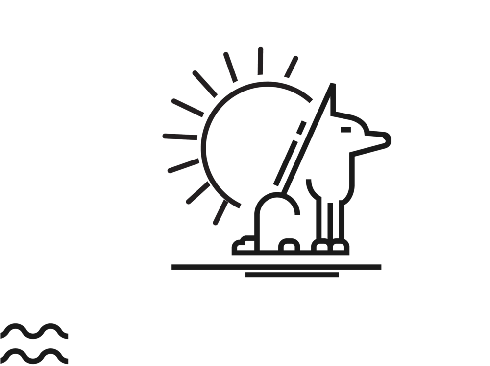 DAYCARE - Whether you work or play, join us for our pup daycare services! W&B offers full care of your furry companion & ensures their happiness while you’re away.